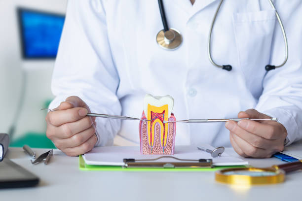 Best 24-Hour Emergency Dental Care in Paramount Long Meadow, MD